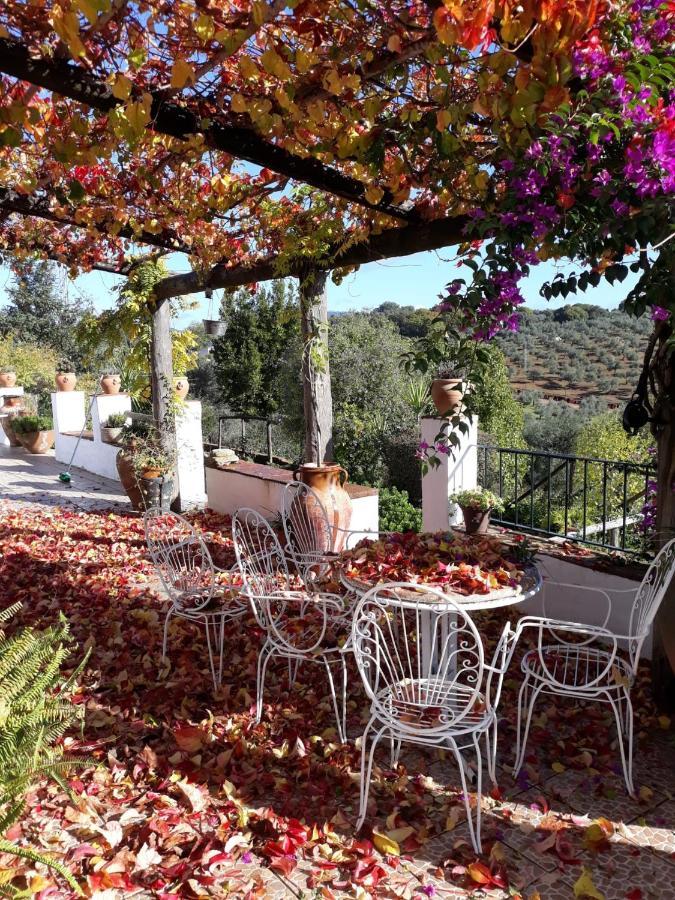 Villa Botero Constantina Exteriér fotografie